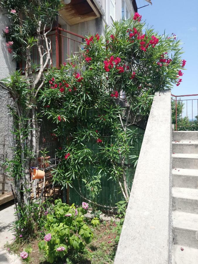 Charming Hill Apartment Opatija Eksteriør billede